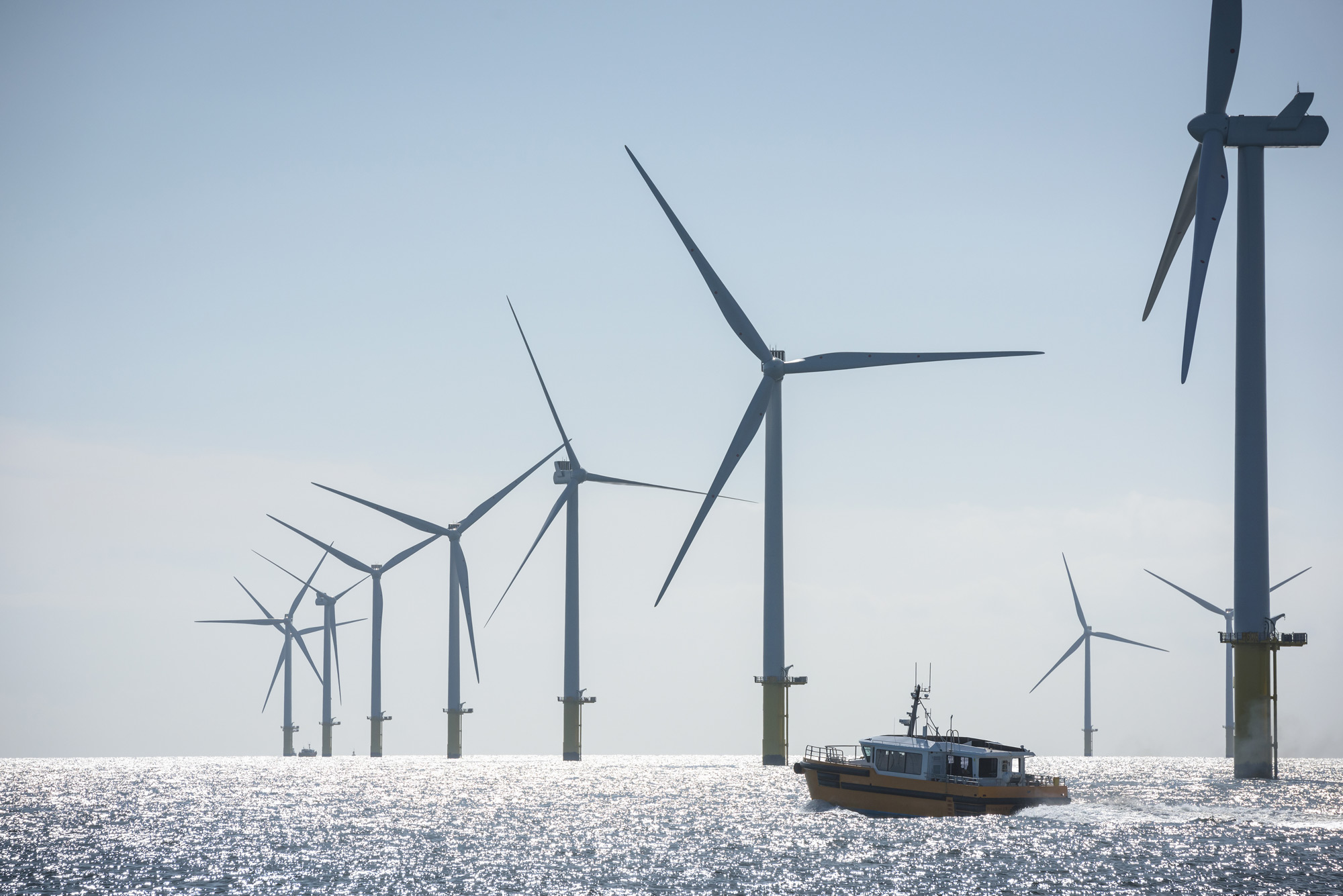 破坏环境“对抗气候变化”……风电场正在改变北海