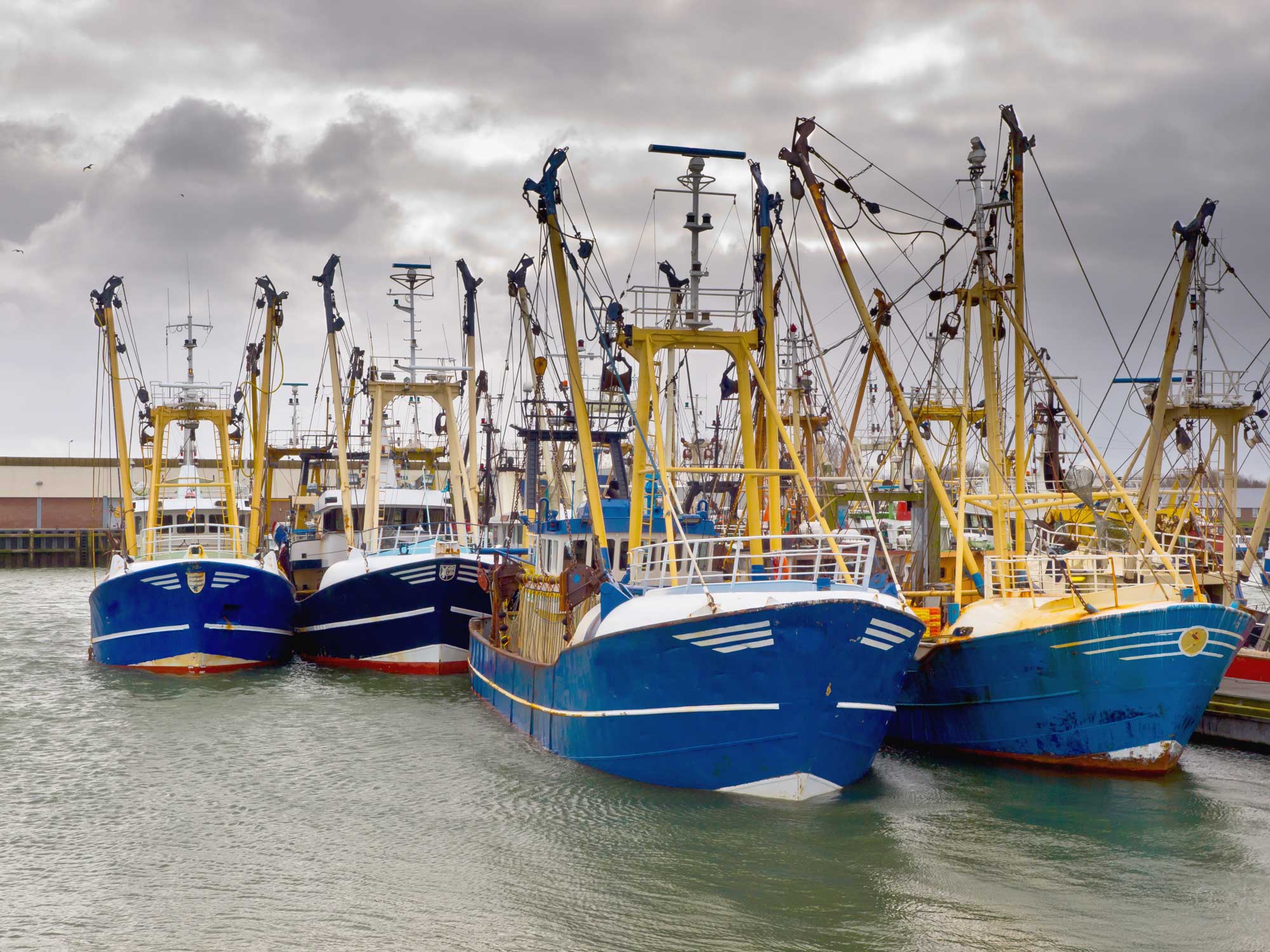 鱼类新闻:美国国家海洋和大气管理局渔业邀请评论更新休闲渔业政策