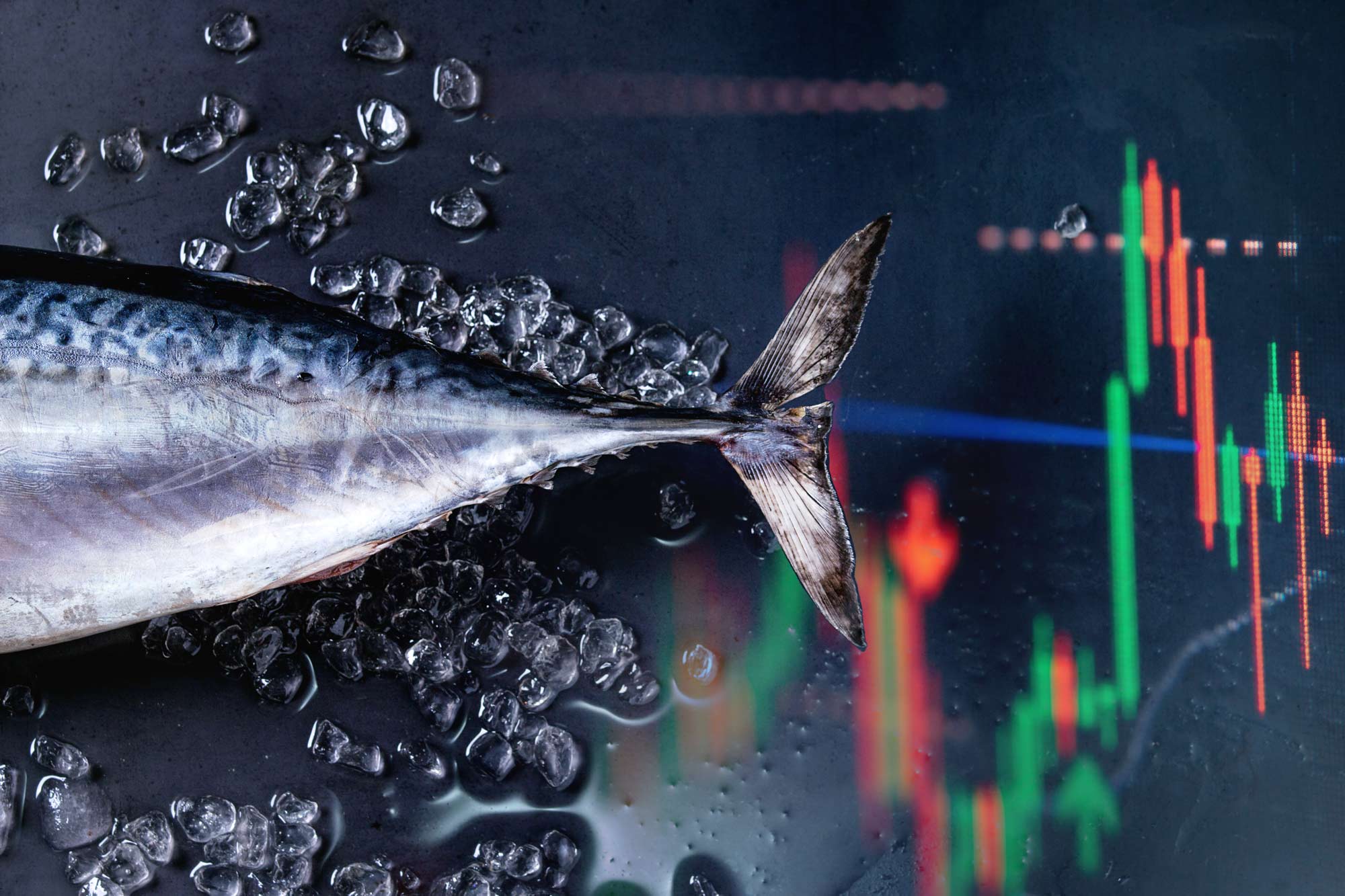克利伯石油:全球金枪鱼联盟(GTA)呼吁WCPFC保持金枪鱼种群在绿色
