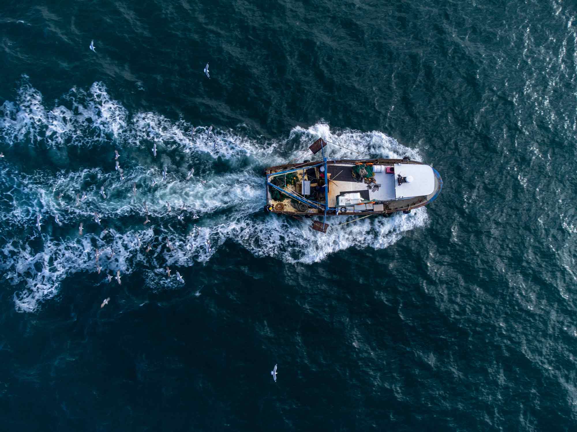 渔民新闻:研究追踪全球捕鱼船队身份的变化欧宝娱乐官方平台下载